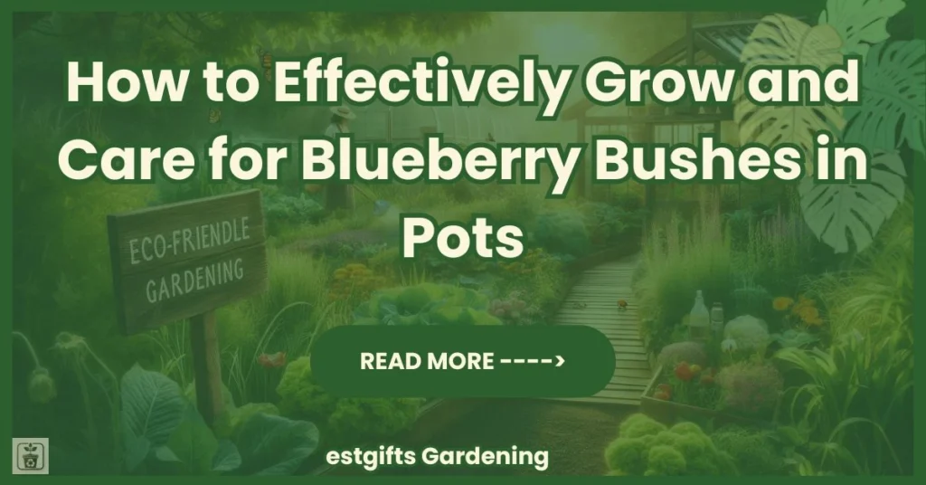 How to Effectively Grow and Care for Blueberry Bushes in Pots