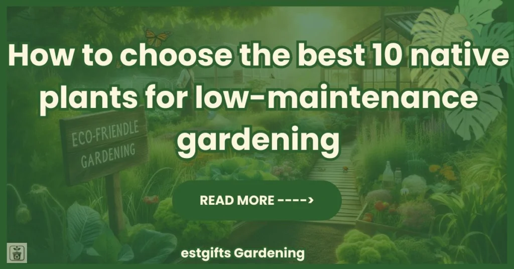 How to choose the best 10 native plants for low-maintenance gardening