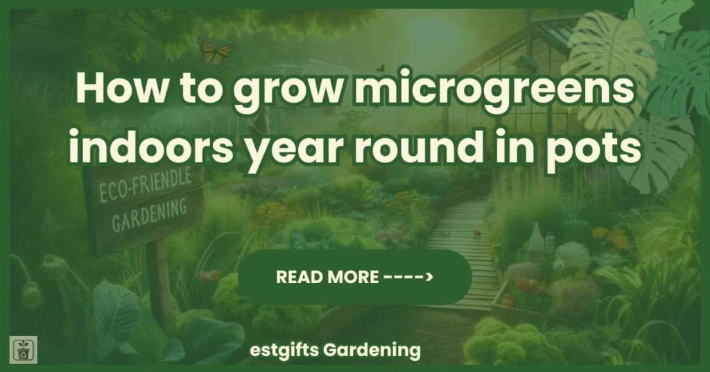 How to grow microgreens indoors year round in pots